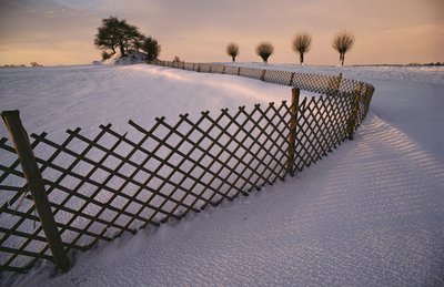 Una tomba vichinga nella neve vicino a Elverhoej, Danimarca in inverno da Sisse Brimberg