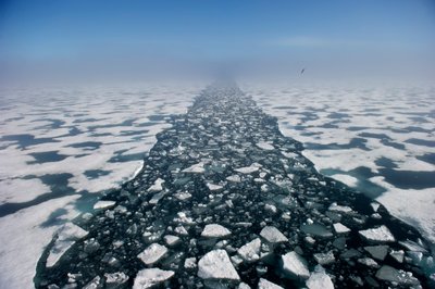 Paesaggio artico nello Stretto di Hinlopen, Norvegia, 2022 (foto) da Sisse Brimberg