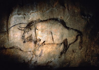 Bisonte nel Salon Noir della Grotta di Niaux da Sisse Brimberg