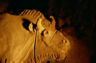 Dettaglio di un bisonte modellato in argilla circa 14.000 anni fa dalla grotta di Tuc d