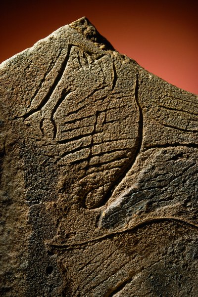 Elegante incisione di un profilo umano trovata in una cache di calcare preistorica da Sisse Brimberg