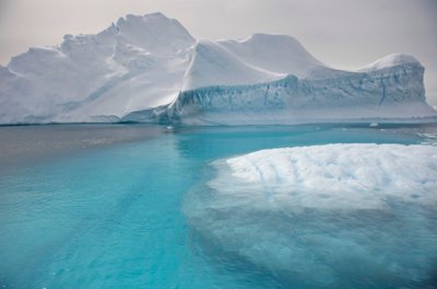 Iceberg che galleggiano sulla Penisola Antartica, 2022 da Sisse Brimberg