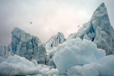 Iceberg nel mare artico intorno all
