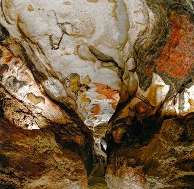 La Galleria Assiale mostra uri estinti sul soffitto della Grotta di Lascaux, Francia da Sisse Brimberg