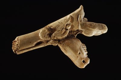 Lancia a tre teste, un bastone preistorico di corno da Sisse Brimberg
