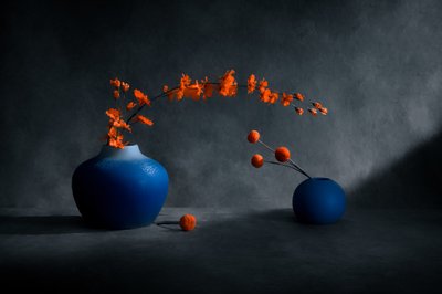 Vasi blu, fiori arancioni da Siyu_Wei APA