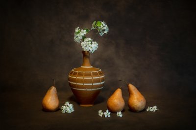 Natura morta rustica con fiori da Siyu_Wei APA