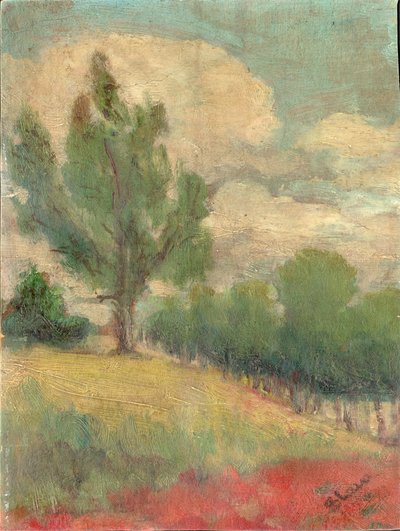 Padina con grande albero da Slava Raškaj
