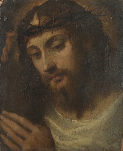 Testa di Cristo, c.1540 da Sodoma