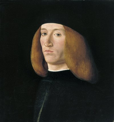Ritratto di un giovane uomo da Solari