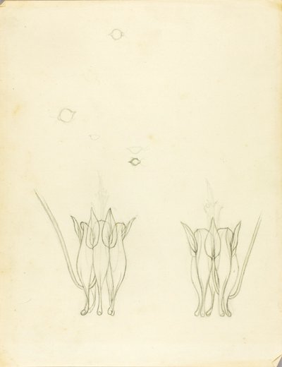 Acacie da Solon H. Borglum