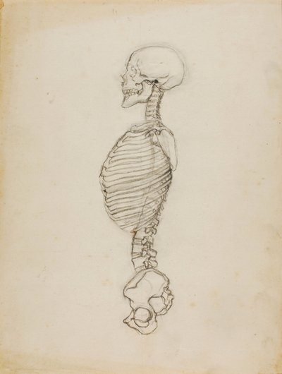 Anatomia da Solon H. Borglum
