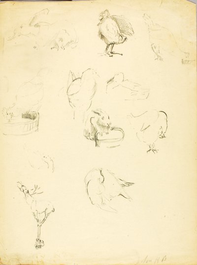 Studi sugli animali da Solon H. Borglum