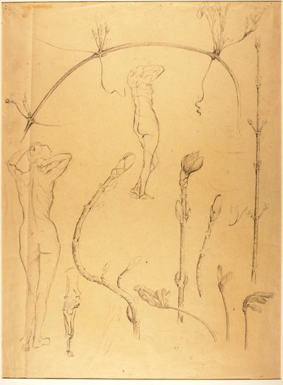 Studio di ramo e nudo da Solon H. Borglum