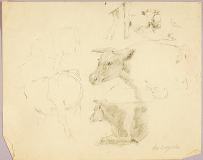 Mucche da Solon H. Borglum