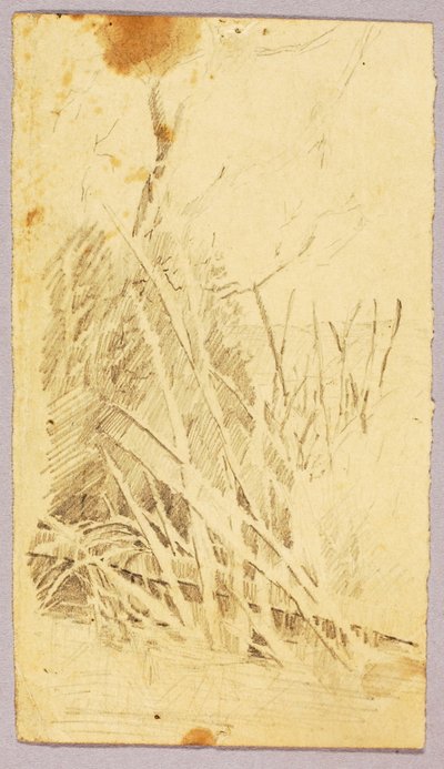 Fogliame da Solon H. Borglum