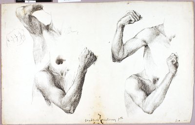 Studi a quattro braccia, n. 1 da Solon H. Borglum