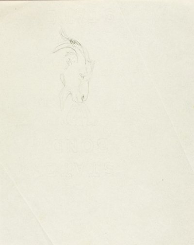 Capra da Solon H. Borglum