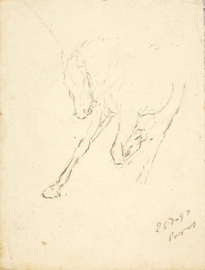 Cavallo da Solon H. Borglum