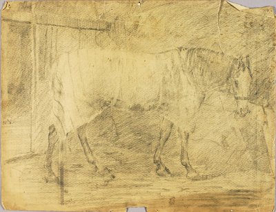 Cavallo da Solon H. Borglum