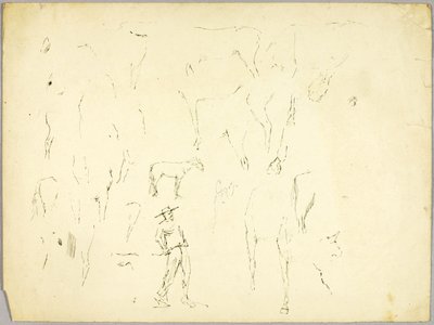 Studio sul cavallo da Solon H. Borglum