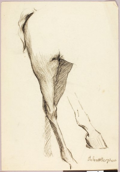 Studio sul cavallo da Solon H. Borglum