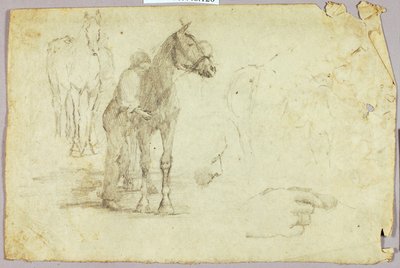 Cavallo e cavaliere da Solon H. Borglum