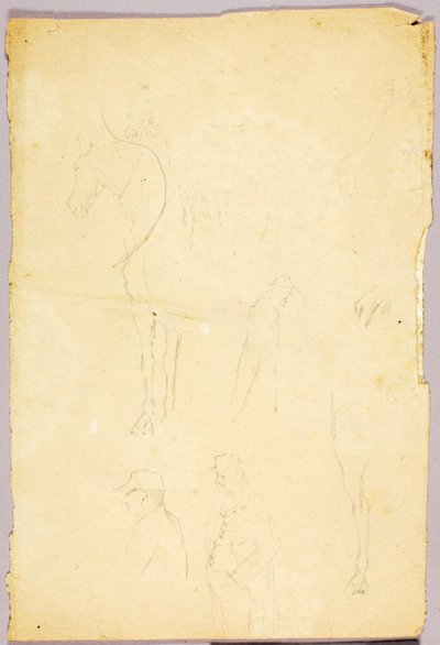 Cavalli da Solon H. Borglum