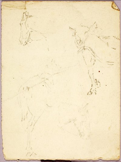 Cavalli da Solon H. Borglum