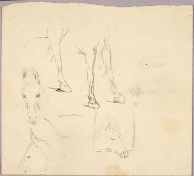 Cavalli da Solon H. Borglum