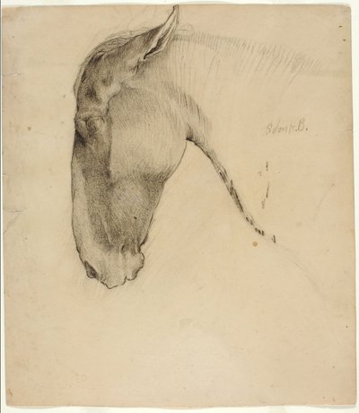 Testa di cavallo da Solon H. Borglum