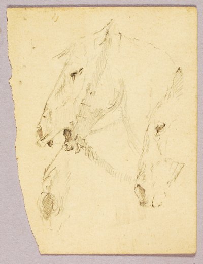 Teste di cavallo da Solon H. Borglum