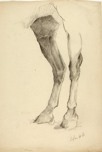 Gamba del cavallo da Solon H. Borglum