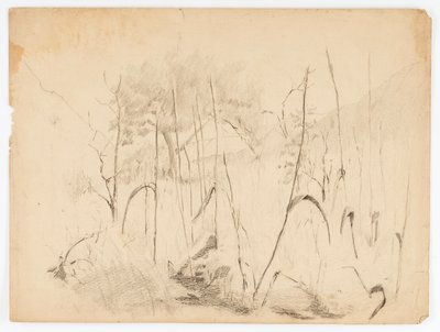 Paesaggio da Solon H. Borglum
