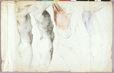 Studi sul nudo da Solon H. Borglum