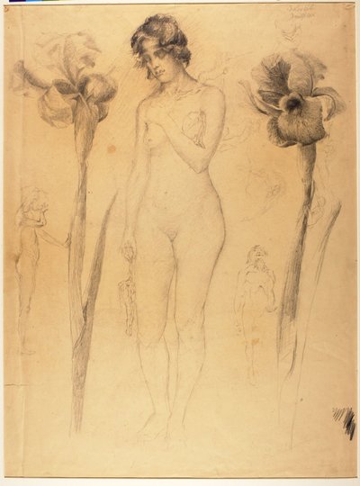 Nudo e Iris da Solon H. Borglum