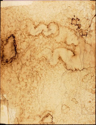 Nudi da Solon H. Borglum
