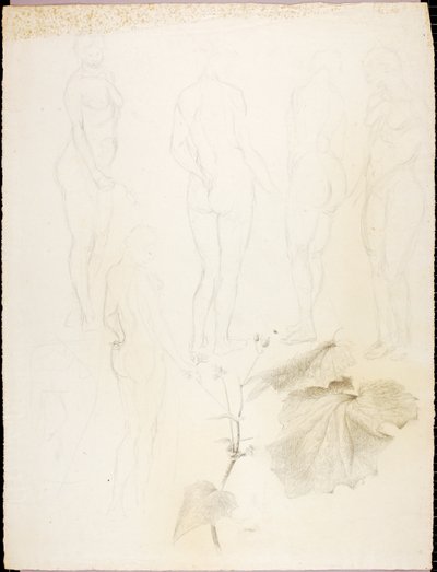 Nudi e foglie da Solon H. Borglum