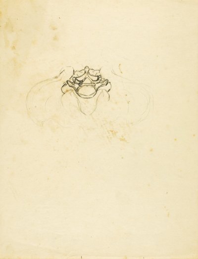 Bacino da Solon H. Borglum