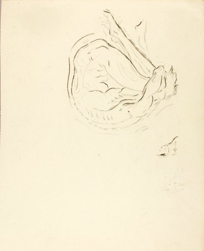 Nuotatore da Solon H. Borglum