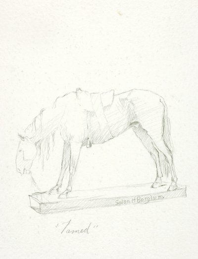 Domato da Solon H. Borglum