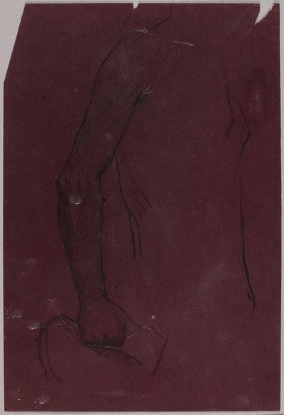 Torso, studio per il monumento equestre da Solon H. Borglum