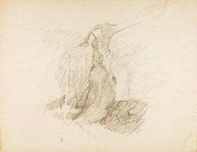 Senza titolo da Solon H. Borglum