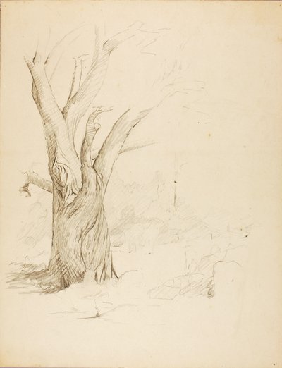 Senza titolo da Solon H. Borglum