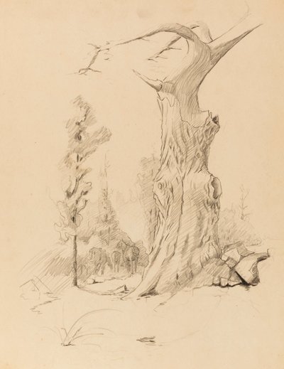 Senza titolo da Solon H. Borglum