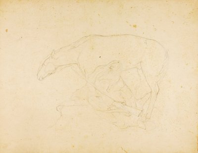 Senza titolo da Solon H. Borglum