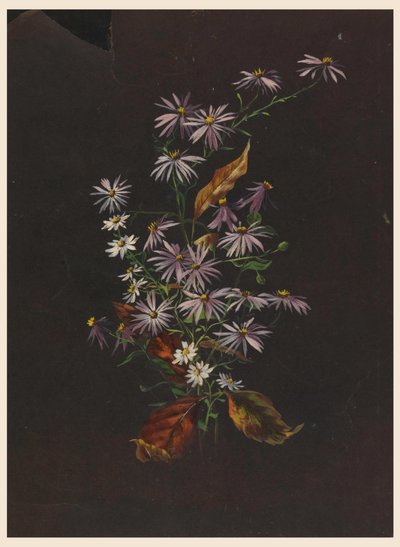Bouquet autunnale, ca. 1890 da Sophia L. Crownfield