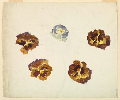 Recto da Sophia L. Crownfield
