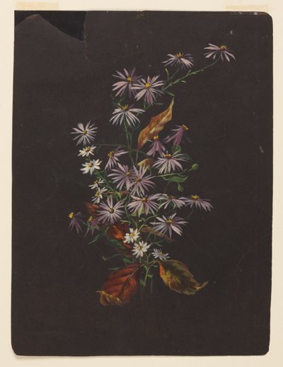Studio di un bouquet autunnale da Sophia L. Crownfield