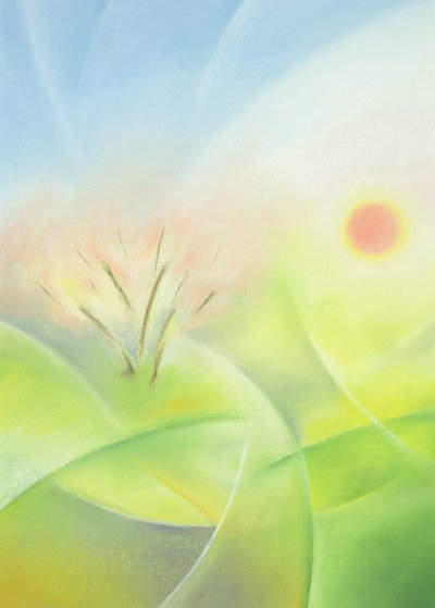 Primavera da Sophie Hacker